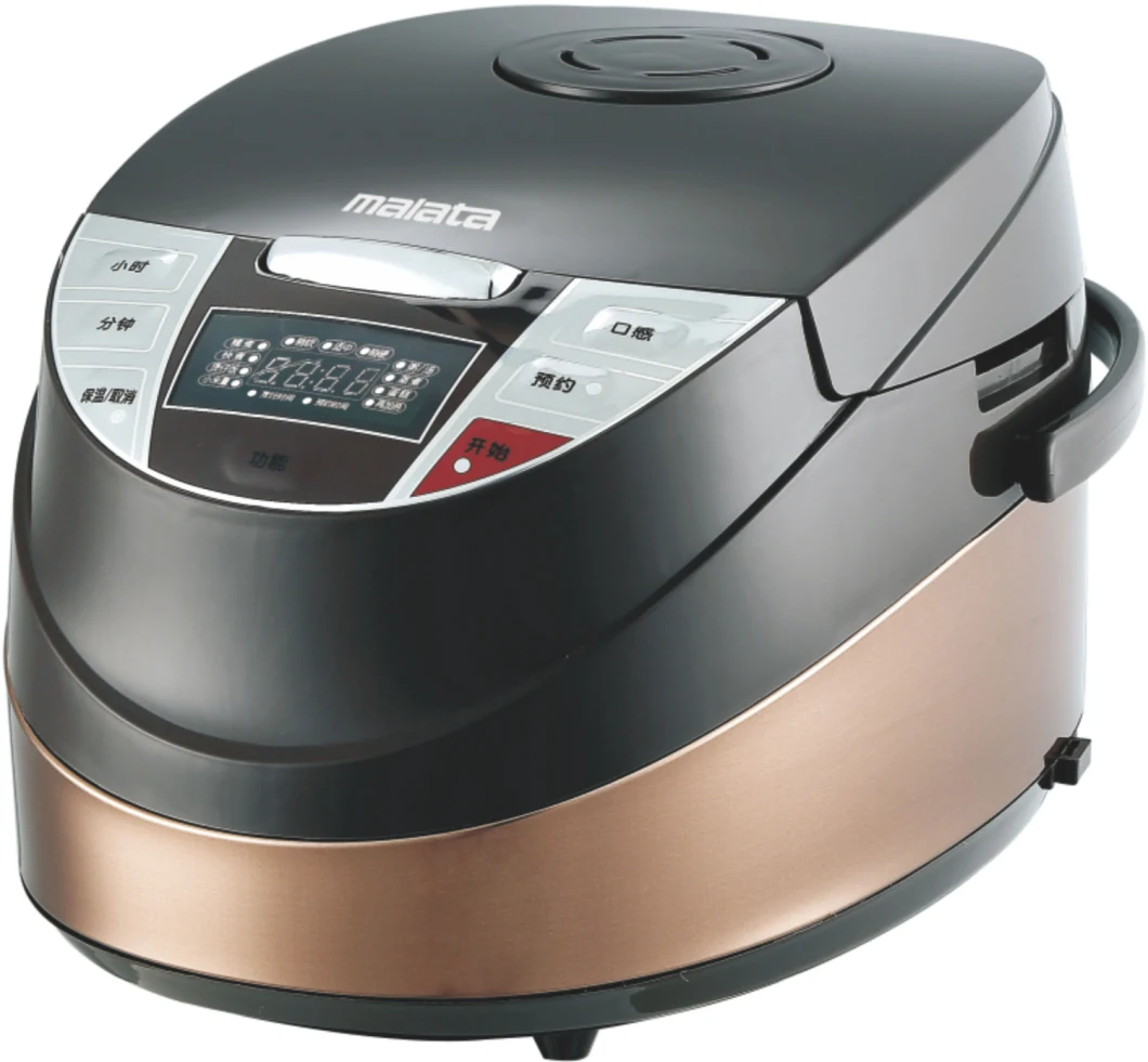 Home Appliance 5L Multifunction Professionnel Electric Rice Cooker